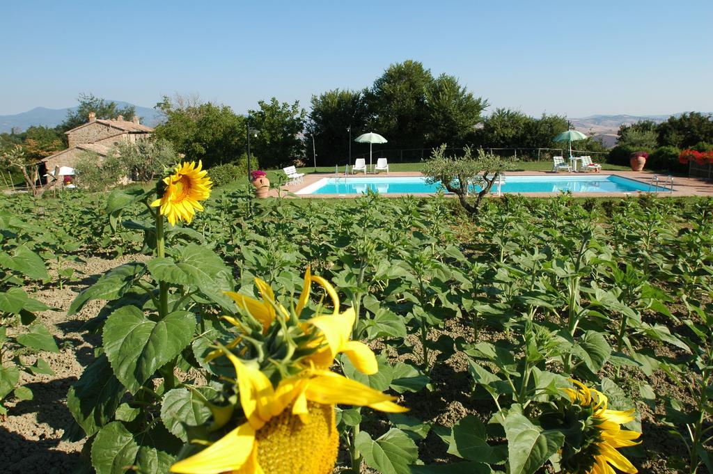 Agriturismo Poggio Porsenna - Con Piscina Villa Proceno Exterior foto